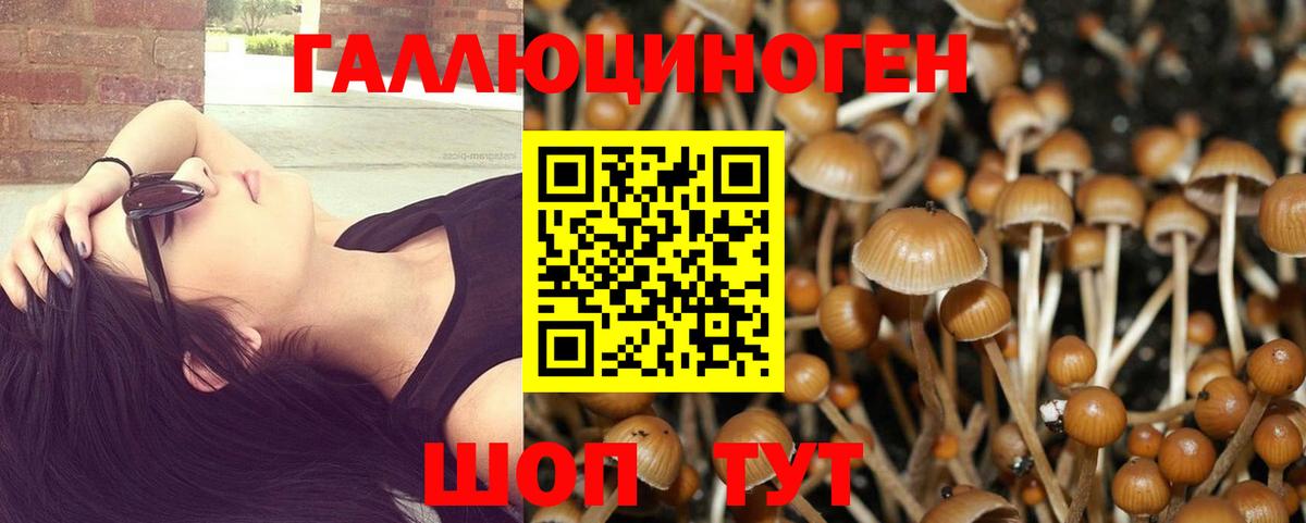 Королёв  Псилоцибиновые грибы MAGIC MUSHROOMS  купить закладку  Вход с VPN 